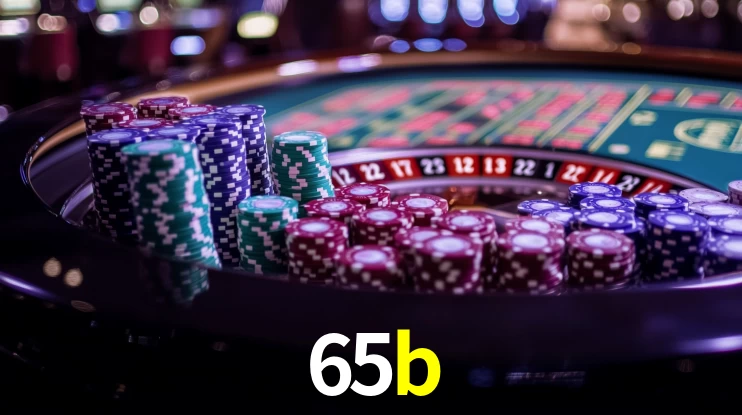 65b App Interface