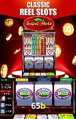 Flash Promotion 65b